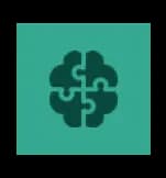 INTELLECTUAL CAPITAL